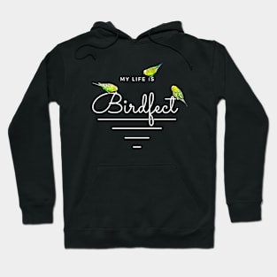 My Life is Birdfect Funny Bird Pun Budgie Hoodie